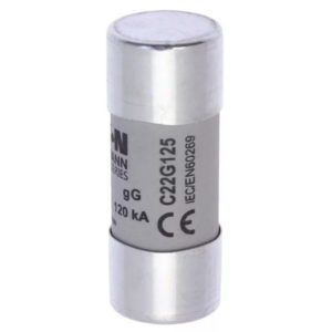 Предохранитель керам. CYLINDRICAL FUSE 22 x 58 80A GG 500V AC