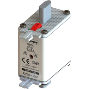 Предохранитель керам. NHG FUSE 125A 500V GG/Gl SIZE 00
